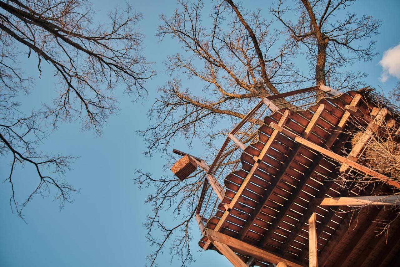 Vila Treehouse Křemílek Jesenice  Exteriér fotografie
